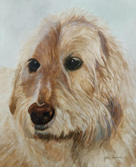 Max, Watercolor